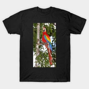 Scarlet Macaw Posing T-Shirt